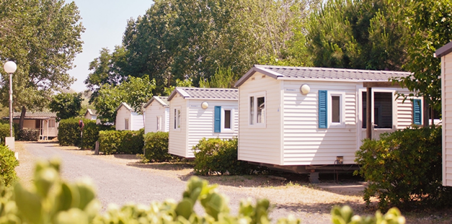 Site 5ab621422ccf9.jpg