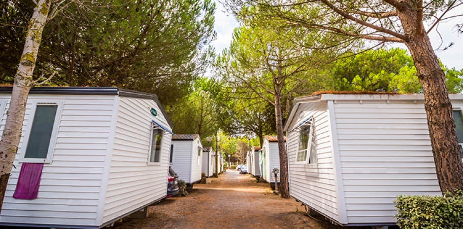 Site 5ab622e7ce47a.jpg