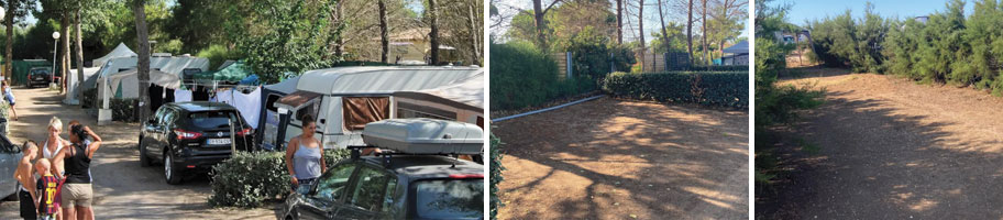 Camping le Roucan West - Emplacements 45/65m²