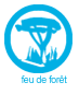 Feu de forêt